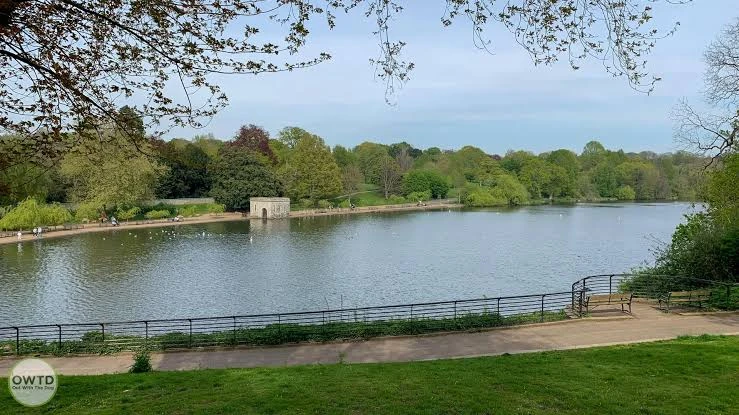 Vehicle hire services in Maidstone near Mote Park